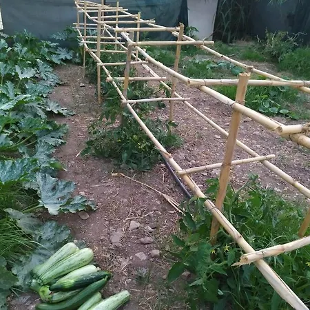 Private Eco-friendly House