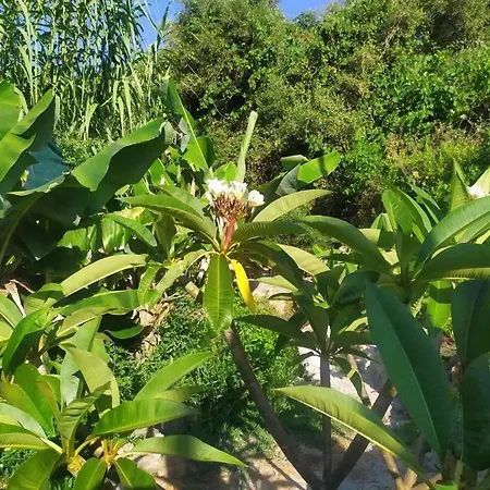Private Eco-friendly House Holiday home Chania (Crete)